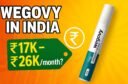 Cost of Wegovy Weight Loss Injection in India